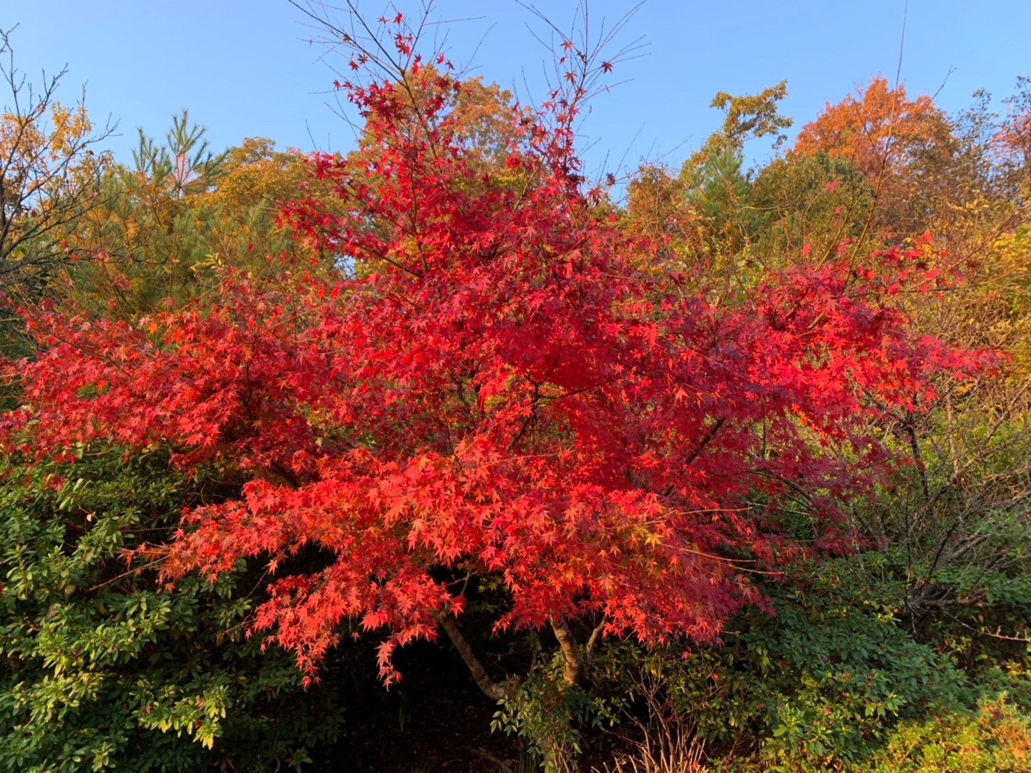 身体のメンテナンスを始めて幸福ホルモンを出そう！